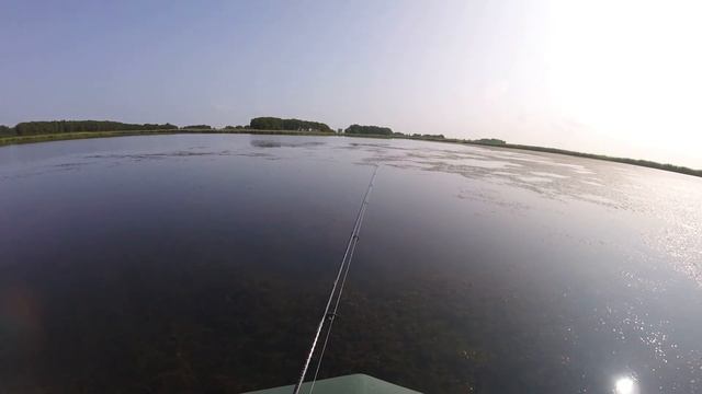 Поймал трофей. Здоровенный Змееголов .Ловля змееголова на спиннинг. смотреть онлайн