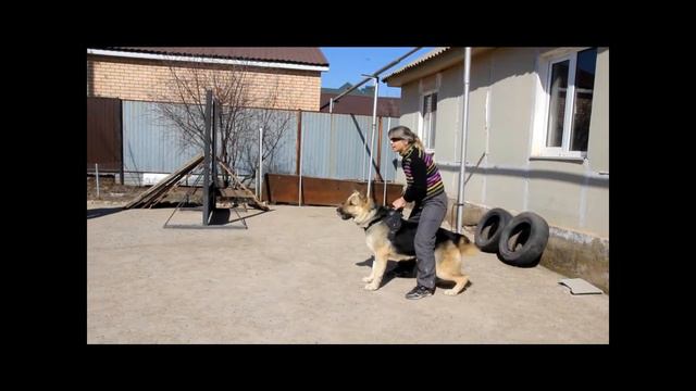 ВЕО Ласковый Май ЗКС 13 04 14 смотреть онлайн