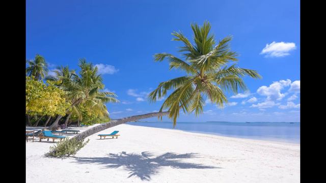 Она прошла, как каравелла, по зеленым волнам (1час)