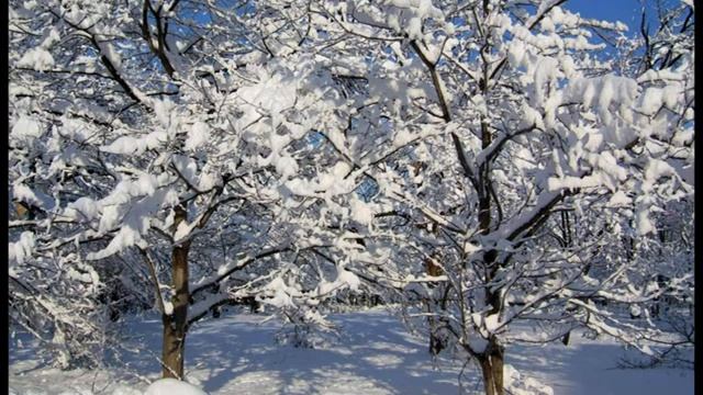 Скажи мне нежные слова смотреть онлайн
