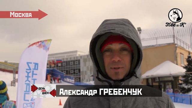 День Zoo днем. "Кавалер-встреча" и "Лыжи мечты" смотреть онлайн