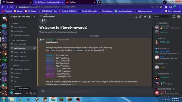How to Get Server Resource Easily In Any Hosting (Pylex Nodes) смотреть онлайн