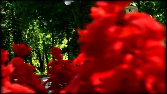 электросталь лето 9266462141 смотреть онлайн