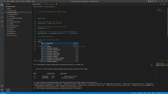 Rename Files In A Folder With Python Video смотреть онлайн