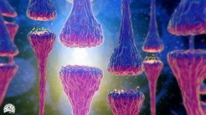 528hz, восстановление структуры ДНК, регенерация нервной системы и клеток, оздоровление тела