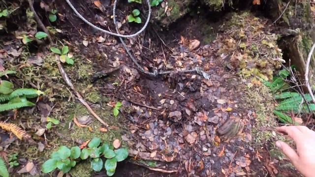 Prince Rupert - The viewpoint located 34 kilometers outside Prince Rupert. смотреть онлайн