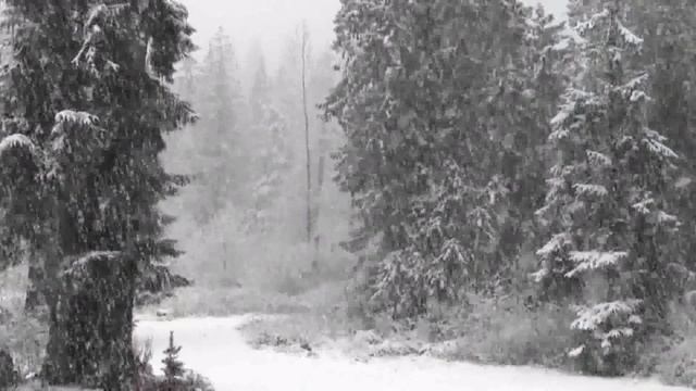 Chkalov - Подарок (fb-презентация трека) смотреть онлайн