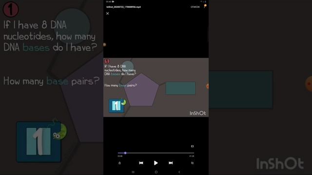 Биология. №20 ДНҚ мен РНҚ молекулаларының ұқсастықтары смотреть онлайн