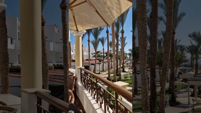 Синайский полуостров Jaz Fanara 2022 4К Ras Om El-Seid, South Sinai Governorate 46628, Египет смотреть онлайн