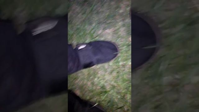 Поимка майских жуков смотреть онлайн