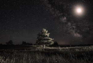 Песня: "ТЁМНАЯ НОЧЬ". Музыка: Н. Богословского. Стихи: В. Агатова. Исполняет — Елена Артёменко.