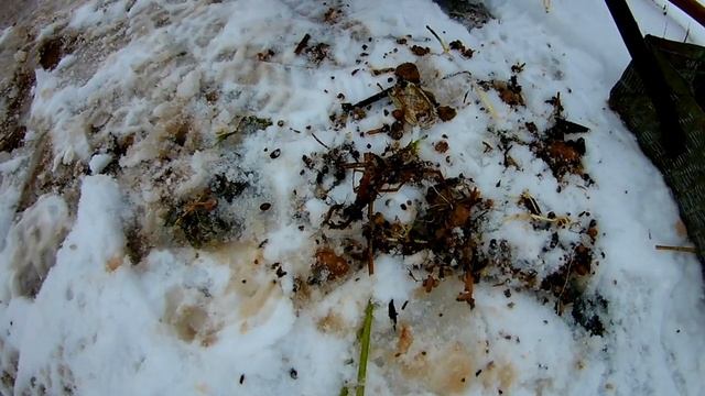 Самая лучшая наживка. На эту наживку клюёт вся рыба. смотреть онлайн