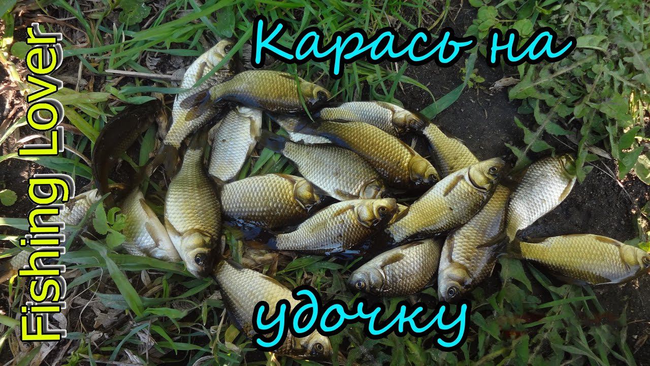 Весенний Карась на удочку смотреть онлайн