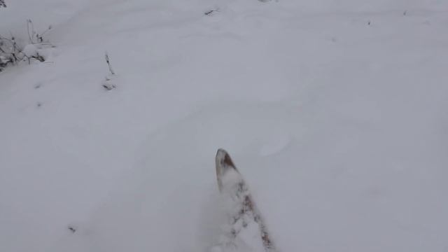 ПОИСКИ ГЛУХАРЯ ПОДРАНКА / САМОДЕЛЬНЫЙ СНЕГОХОД СМ-002. ОХОТА НА БОРОВУЮ ДИЧЬ С МЕЛКАШКОЙ. смотреть онлайн