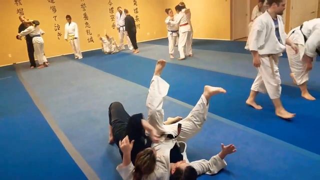 Tani Otoshi Application | Jukido Jujitsu смотреть онлайн