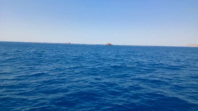 Особенности рыбалки в Средиземном море г. Мерсин Турция. смотреть онлайн