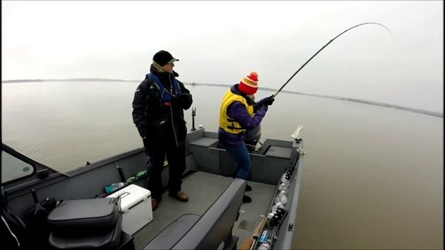 Trolling Spoonbill Paddlefish // Dipsy Diver