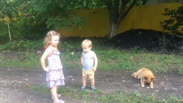 Малыши бегают