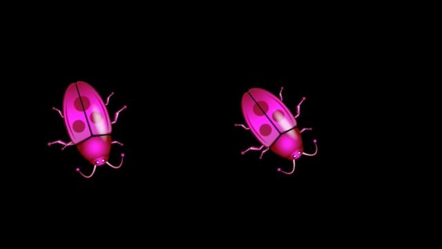 CAT GAMES ★ CATCH COCKROACHES on the screen ★ смотреть онлайн