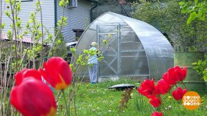 Идеальная теплица - какая она? Доброе утро. Фрагмент выпуска от 24.05.2024