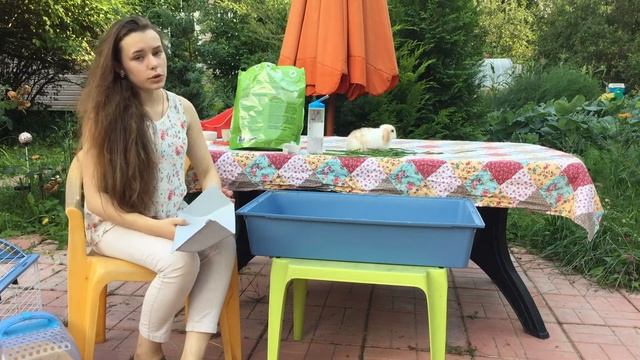 Жильё для карликового кролика ( часть 1 ) смотреть онлайн