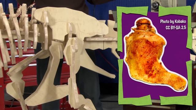 Adaptations and Fossils: MEA 4th Grade Series смотреть онлайн
