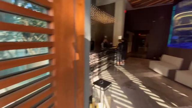 NOVITEC 812 N-LARGO IN MIAMI !!! + 458 SPECIALE, 488 PISTA, And More !!