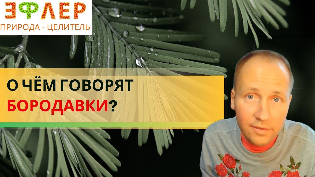 БОРОДАВКИ ИЗ-ЗА ГРИБОВ? ПРИЧИНЫ и ИСЦЕЛЕНИЕ. ДОКТОРА СОВЕТУЮТ: ЗАГОВОРЫ ПОМОГАЮТ. МЕТАФИЗИКА НЕДУГОВ смотреть онлайн