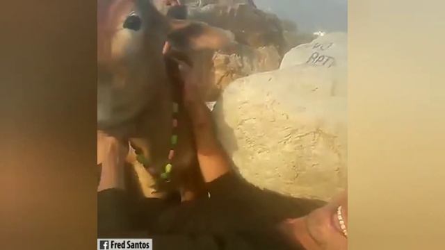 Сердце в тебе смотреть онлайн