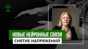 Снятие напряжений в теле приводит к образованию новых нейронных связей