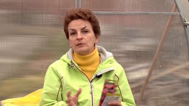 Как сеять астры в апреле смотреть онлайн