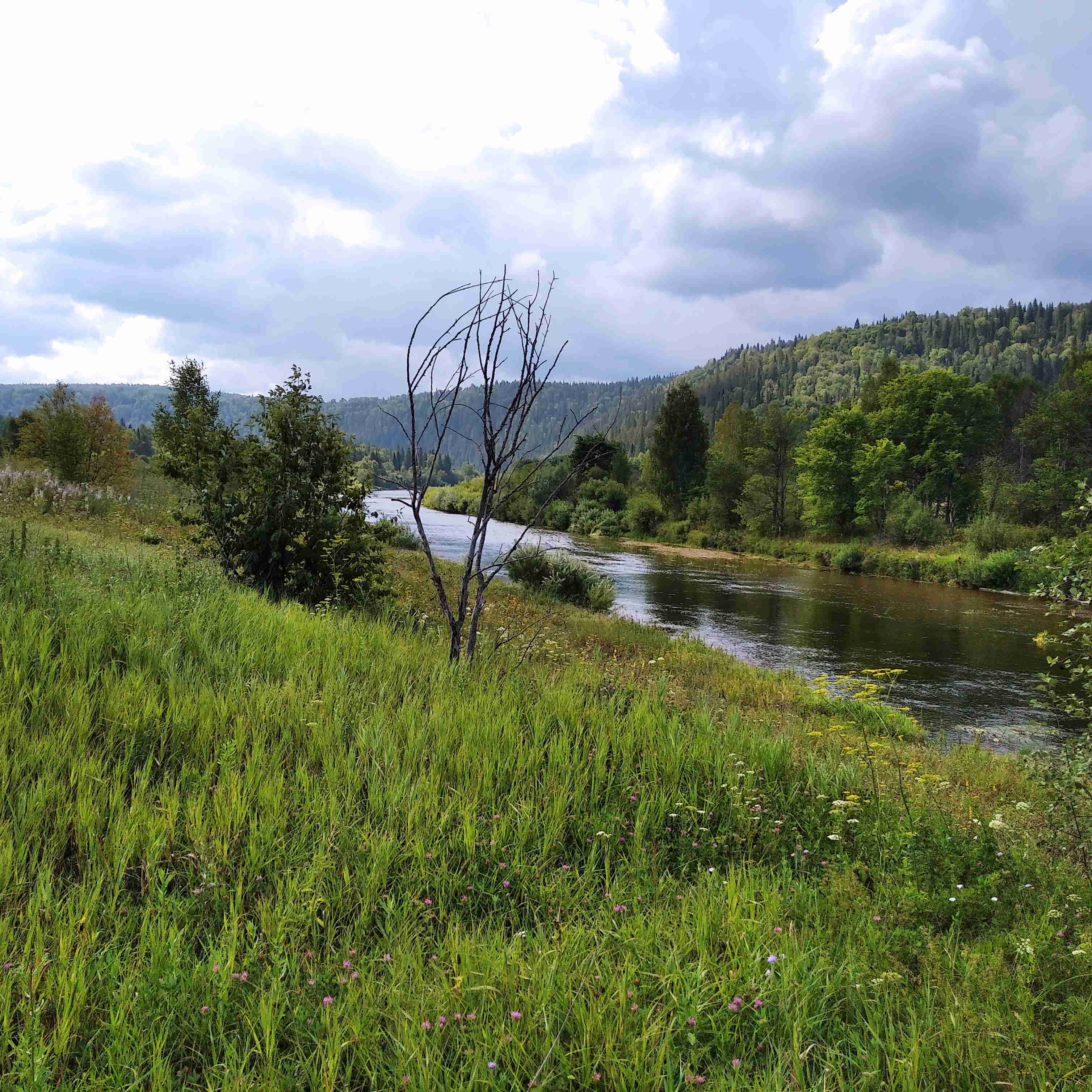 Вечный Зов - место, где был дом Поликарпа Кружилина (бывшая деревня Елабуга 06.08.2023)🎥🎞 смотреть онлайн