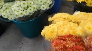 Обзор рынок Краснодар ч 2 срезанные цветы