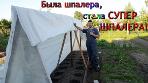 Шпалера для огурцов. Модернизация шпалеры своими руками! Из Столицы в Деревню.