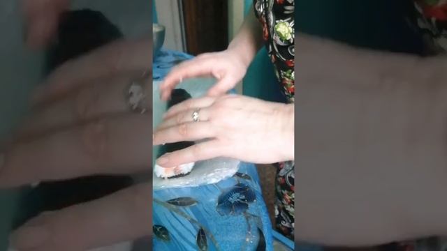Суши на Рождество! смотреть онлайн