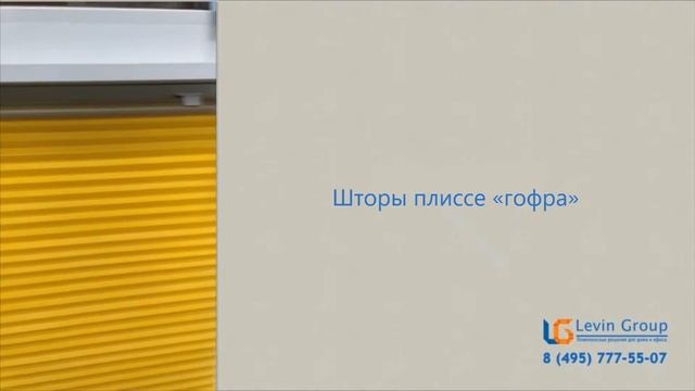 Двойные шторы-жалюзи плиссе "Гофра" от компании levin-group.ru смотреть онлайн