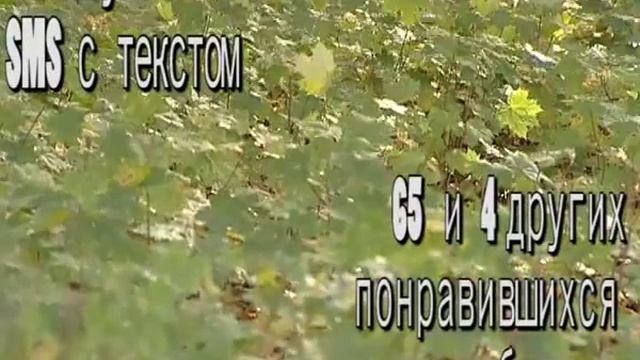 Богородицк (ролик 1) смотреть онлайн