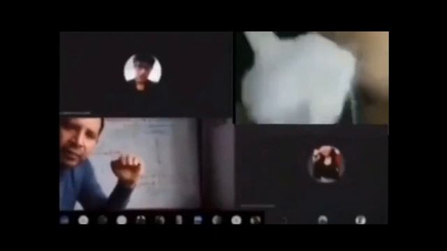 страстный поцелуй с котом смотреть онлайн