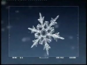 Проморолики | РЕН ТВ. 2009-2010