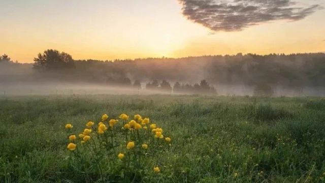 Rachmaninov: , Op. 34 No. 14 - Joshua Bell, Michael Stern & Orchestra of St. Luke's смотреть онлайн