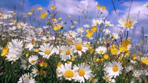 Анатолий Днепров, РОССИЯ