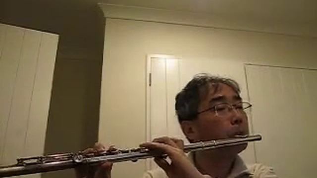 Mozart Magic Flute - Aria Papageno - Flute by Won Shik Paik смотреть онлайн