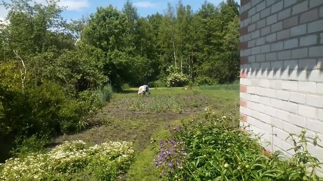 Дача? смотреть онлайн