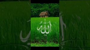 Нашид СубханАллах АльхамдулиЛлях Аллаху Акбар