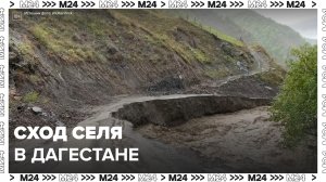 Селевые потоки обрушились на Дагестан – Москва 24
