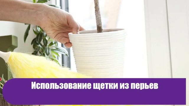 9 больших ошибок в уборке, которые делают ваш дом еще грязнее смотреть онлайн
