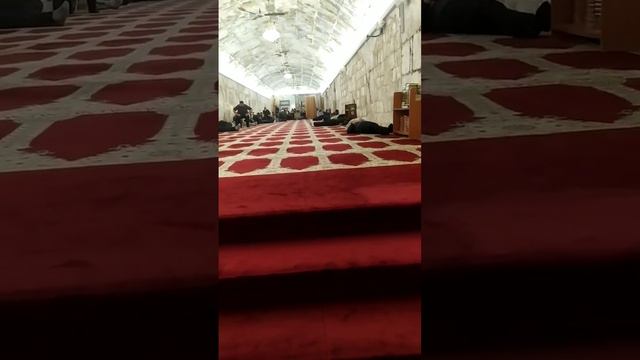 к выходу из самой старой мечети Аль-Аксы смотреть онлайн