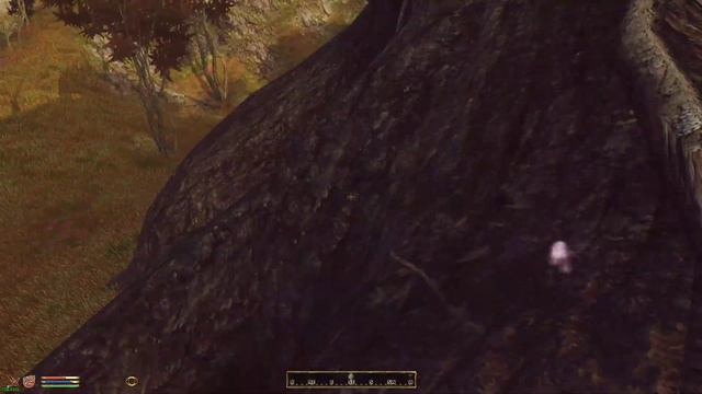 Elder Scrolls IV Oblivion 2024 01 31 14 07 32 03 DVR смотреть онлайн