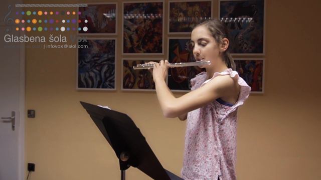 Hedwig's Theme - flute cover (Brina Cerlini) смотреть онлайн