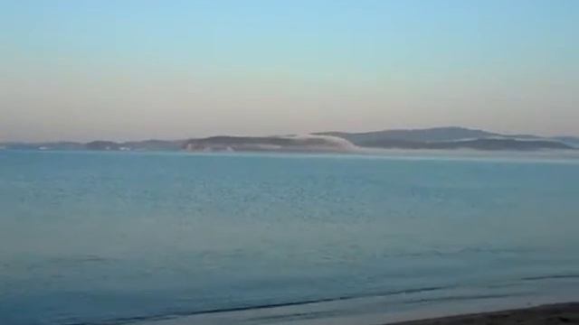 Чудесные существа